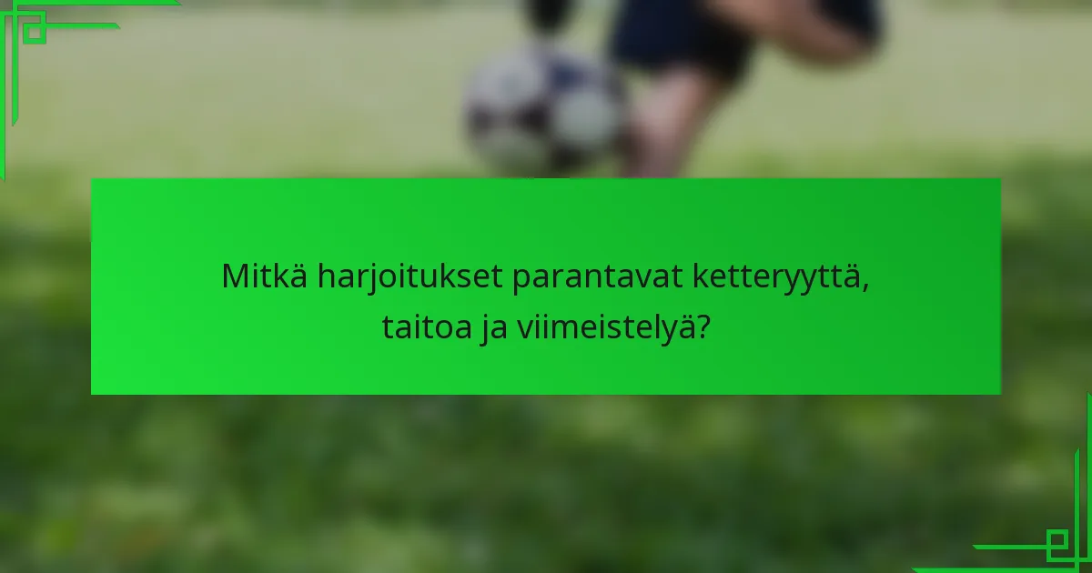 Mitkä harjoitukset parantavat ketteryyttä, taitoa ja viimeistelyä?